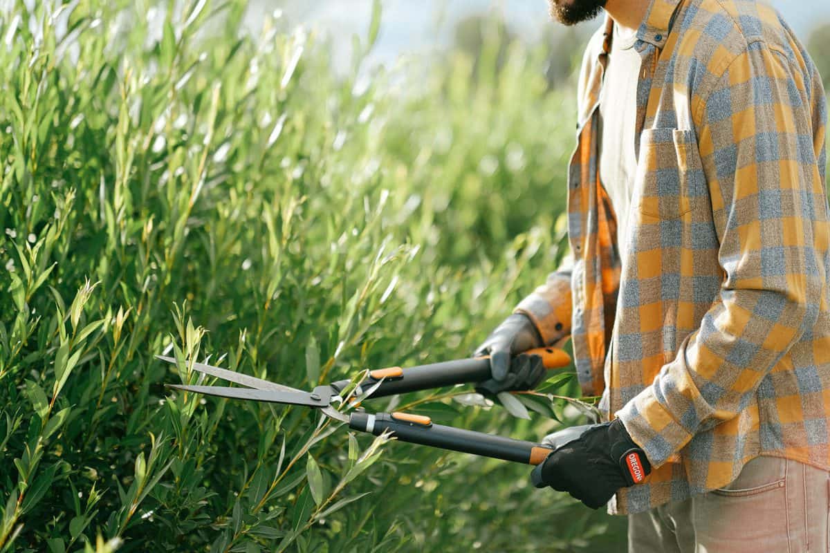 25 Low-Stress Jobs: Get Better Pay Without High Anxiety